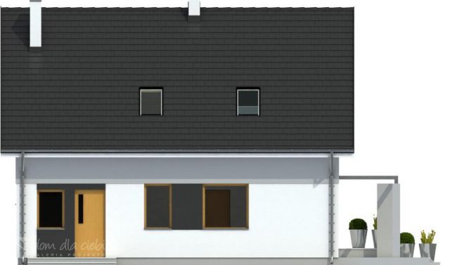 Готовый проект дома DD1342